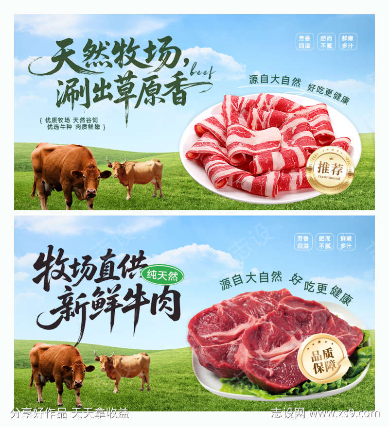 新鲜牛肉宣传设计
