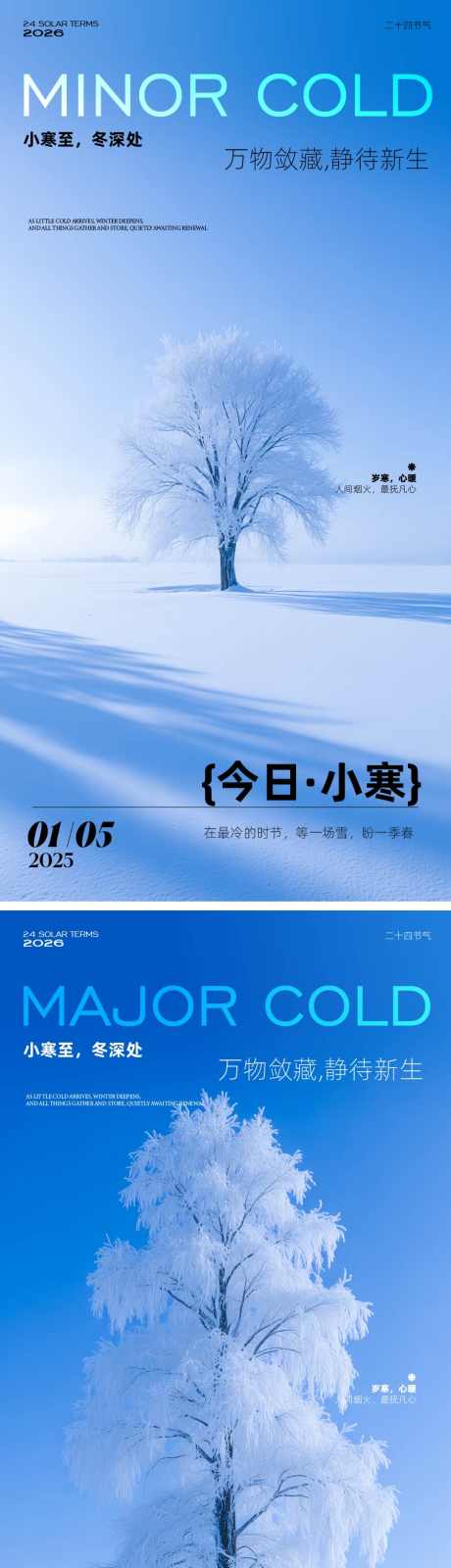 小寒大寒节气海报_源文件下载_PSD,AI格式_900X5442像素-简约,雾凇,雪地-作品编号:2025121515459063-志˙设ˈ̹网