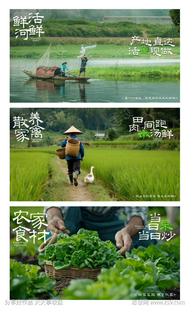 餐饮美食食材类新鲜活鱼