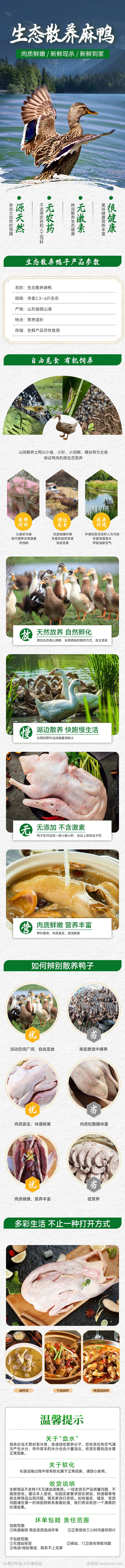 麻鸭详情页