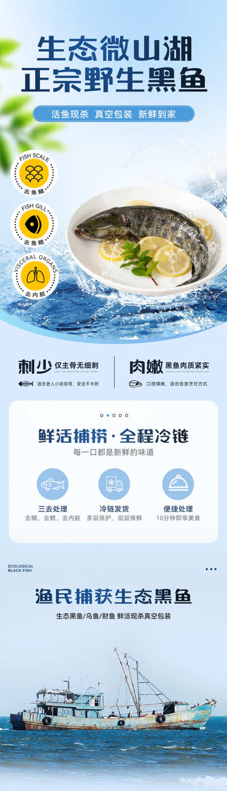 黑鱼详情页_源文件下载_PSD格式_800X10501像素-特产,黑鱼,水产-作品编号:2025122214513700-志˘设͵网