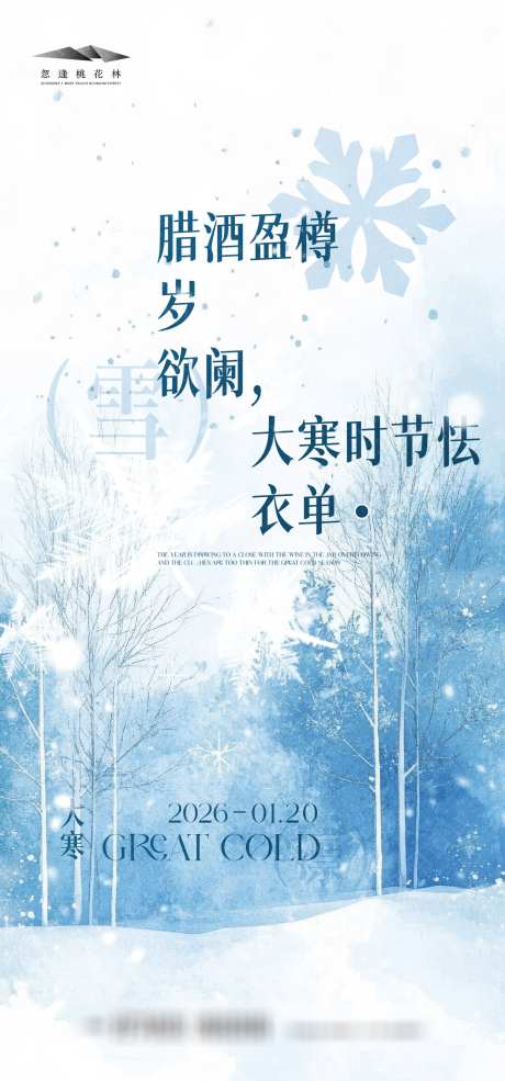 大寒创意海报