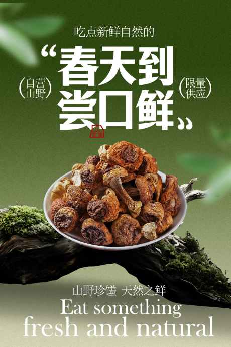 春天尝鲜美食野山菌海报_源文件下载_PSD格式_1701X2551像素-野山菌,佳肴,摆盘-作品编号:2026010510295918-志.设˓网