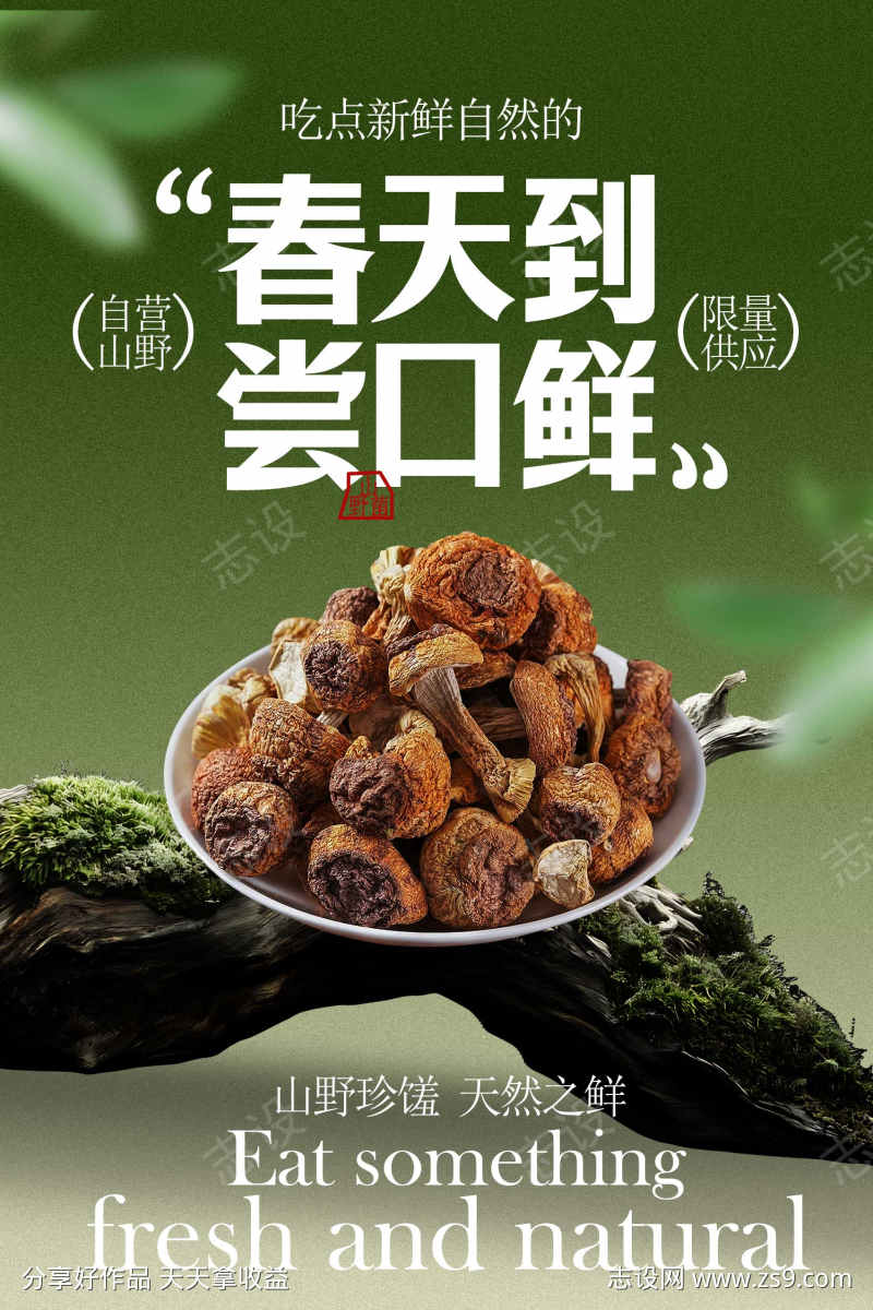 春天尝鲜美食野山菌海报