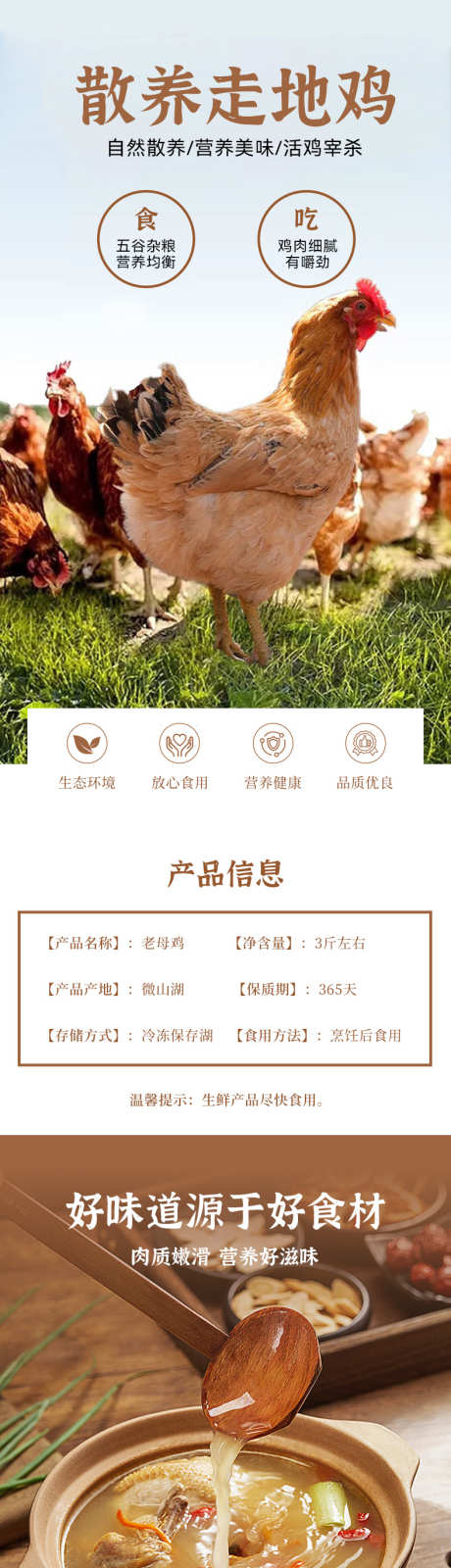 母鸡电商详情页_源文件下载_PSD格式_790X11441像素-生鲜,详情页,电商-作品编号:2026010514015279-志˰设ˉ网