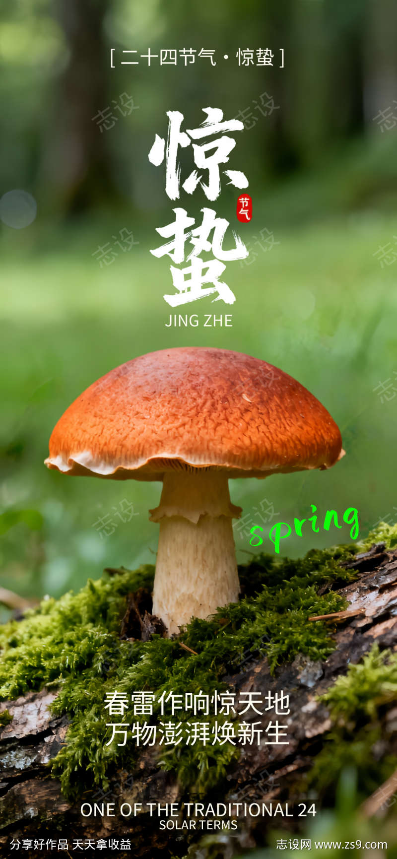 惊蛰节气简约海报