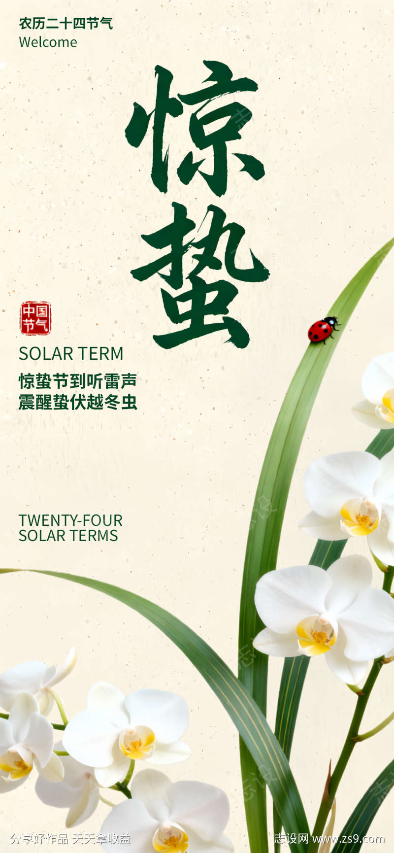 惊蛰节气兰花海报