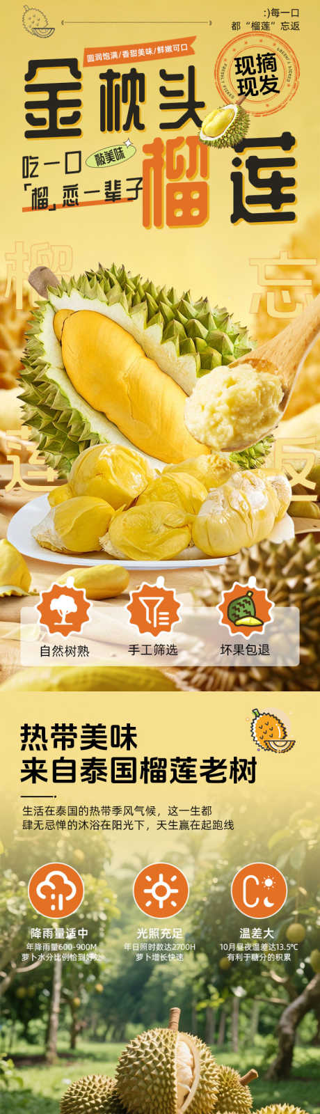 金枕头榴莲_源文件下载_PSD格式_750X13077像素-新鲜,产地,大气-作品编号:2026011510408324-志,设‛ۛ网