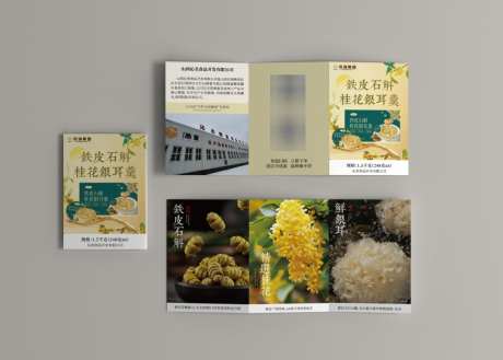 铁皮石斛产品折页单页物料设计_源文件下载_AI格式_1024X732像素-传单,物料,线下-作品编号:2026011614278405-志‘设˜网