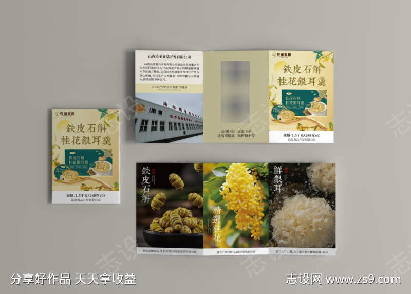 铁皮石斛产品折页单页物料设计