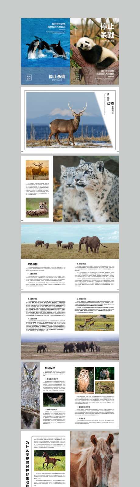 保护野生动物公益宣传画册ID源文件_源文件下载_其他格式格式_850X3967像素-公益,自然,动物-作品编号:2026011817115196-志˒设˘网