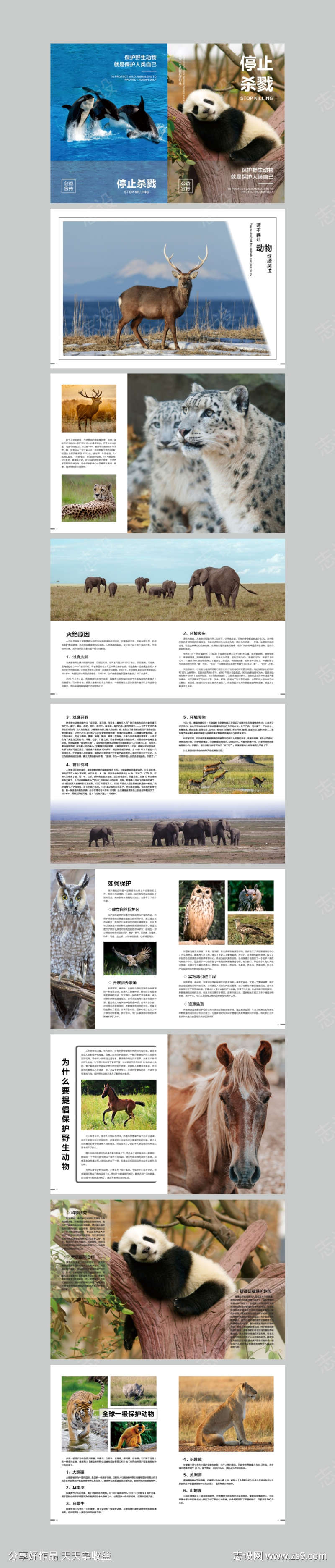 保护野生动物公益宣传画册ID源文件