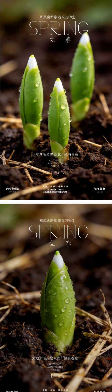 立春海报春天春日