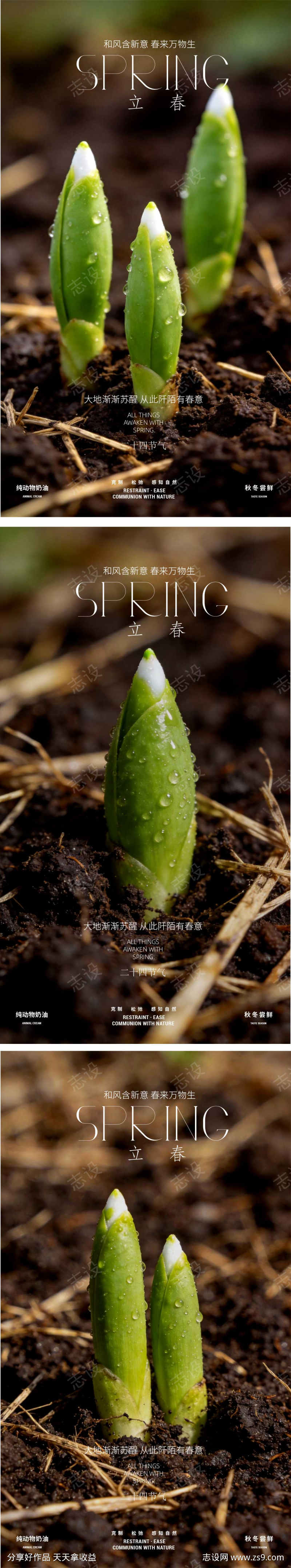 立春海报春天春日