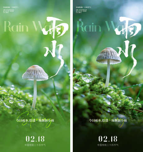 雨水节气海报_源文件下载_AI,PSD格式_1527X1624像素-春日,雨水,节气-作品编号:2026020817187023-志˒设˯网