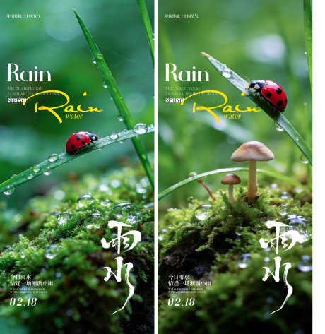 雨水节气海报