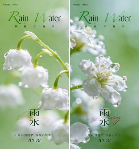 雨水节气海报_源文件下载_AI,PSD格式_1511X1624像素-下雨,春日,雨水-作品编号:2026020817196745-志`设˜网