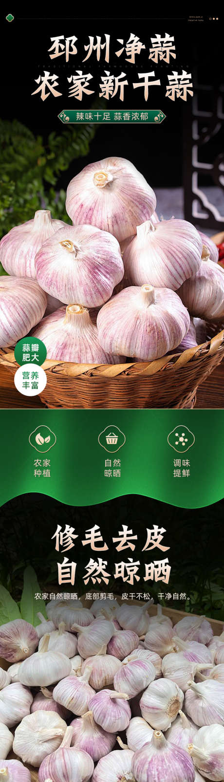 大蒜详情页_源文件下载_PSD格式_790X13503像素-调味料,毛蒜,大蒜-作品编号:2026020914057680-志˰设’网