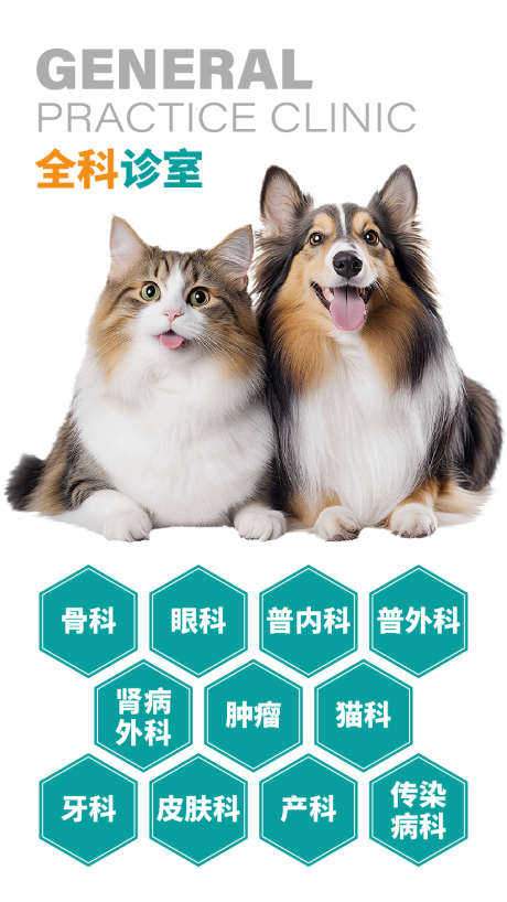 宠物医院详情页