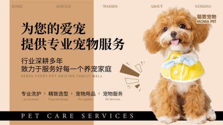 宠物生活馆团购图轮播图入口图