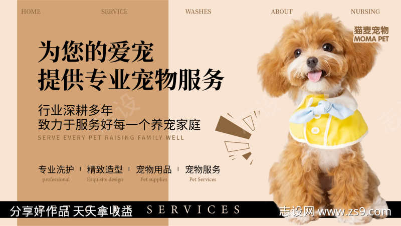 宠物生活馆团购图轮播图入口图