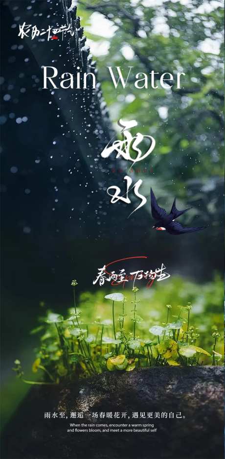 雨水节气海报