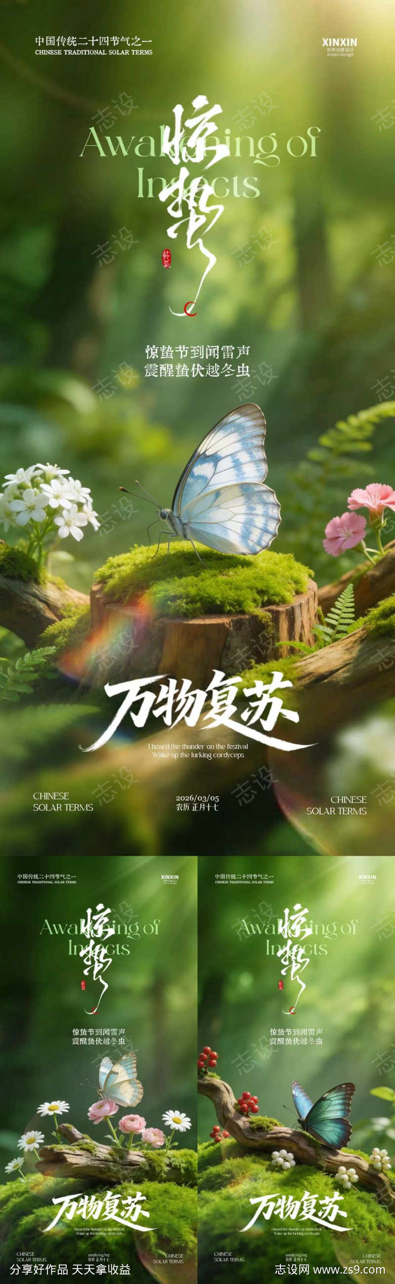 惊蛰春天蝴蝶花朵摄影海报