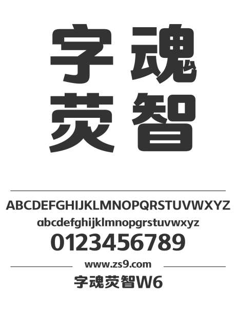 字魂荧智W6