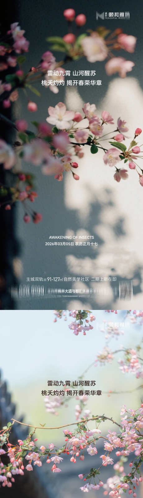 2026惊蛰节气海报桃花梨花瓢虫