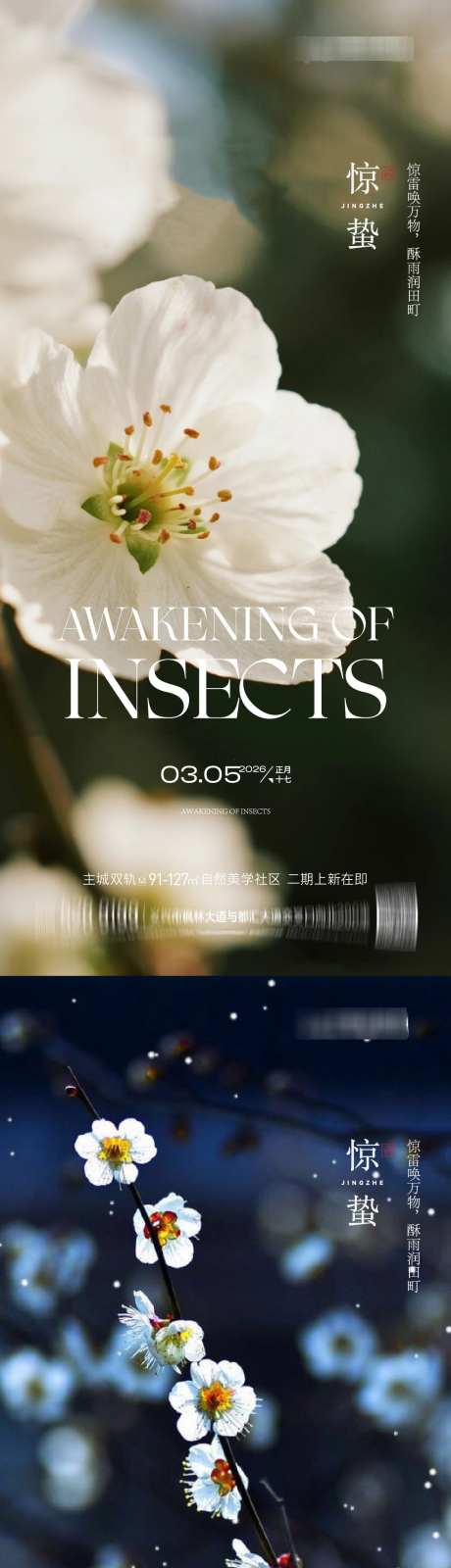 2026惊蛰节气海报桃花梨花瓢虫