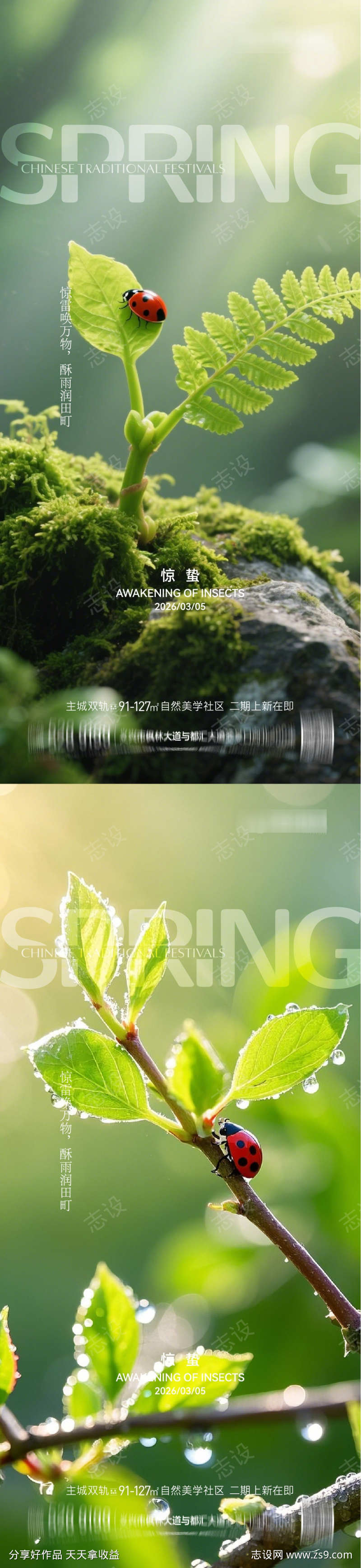 2026惊蛰节气海报桃花梨花瓢虫