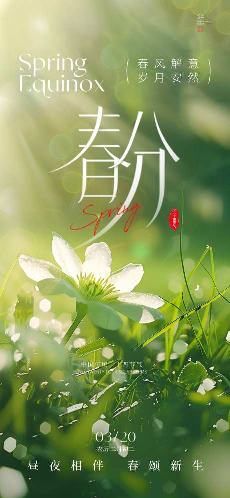 春分节气海报