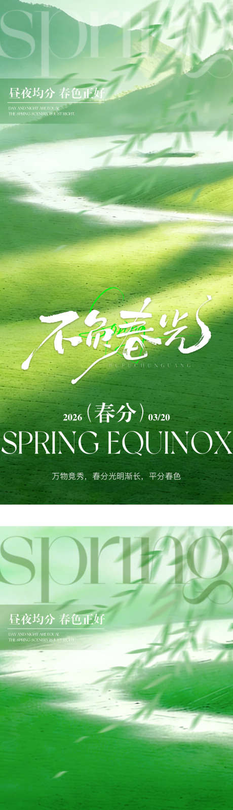 春分节气系列海报