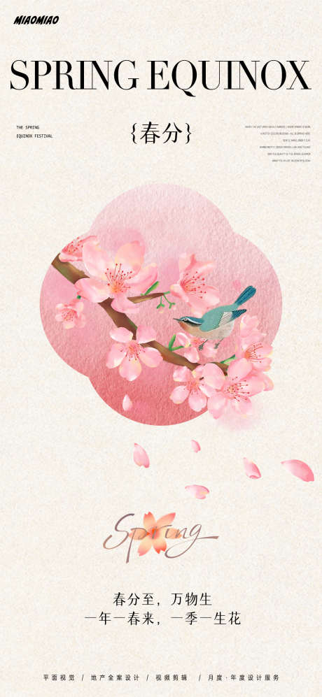 春分节气简约海报