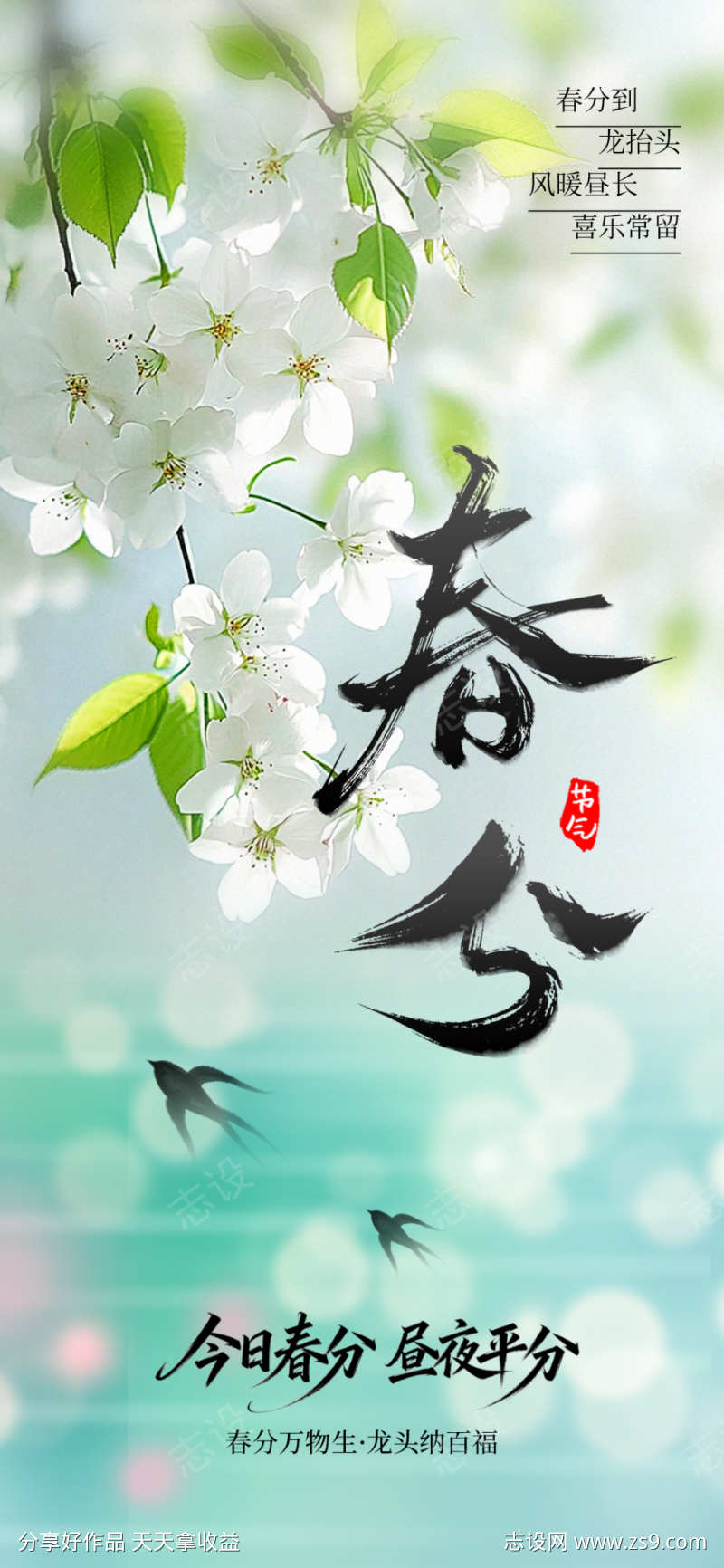 春分节气海报
