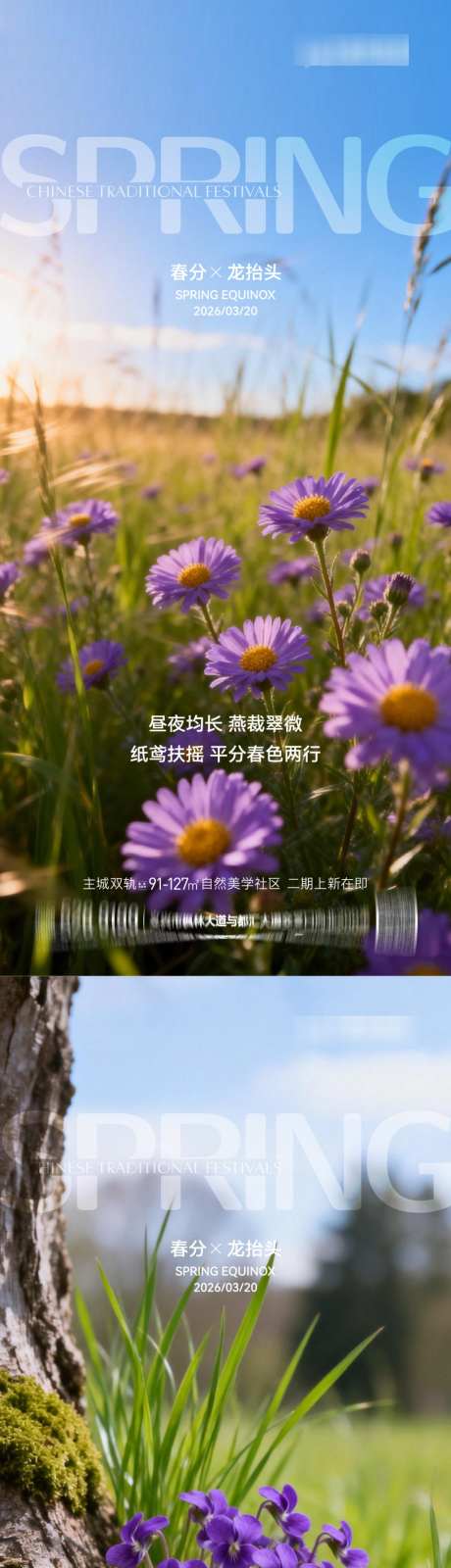 2026春分龙抬头节日节气海报