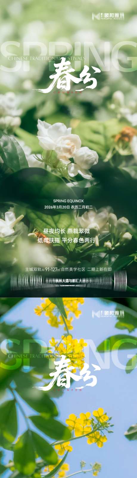 2026春分龙抬头节日节气海报