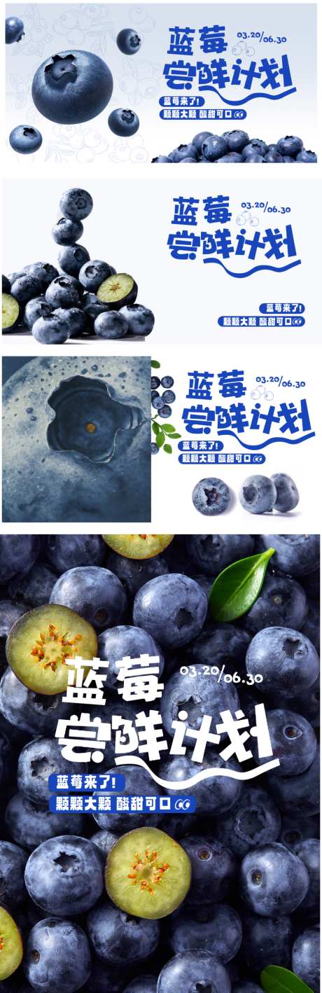 蓝莓水果上市海报_源文件下载_PSD格式_1024X3156像素-质感,尝鲜,蓝莓-作品编号:2026031813286115-志ˈ̹设′网