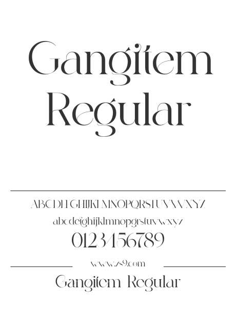 Gangitem Regular_字体下载_格式_英文_常规_免费商用-Gangitem,简约,衬线-作品编号:2026031910031299-志ˇ设ˆ网