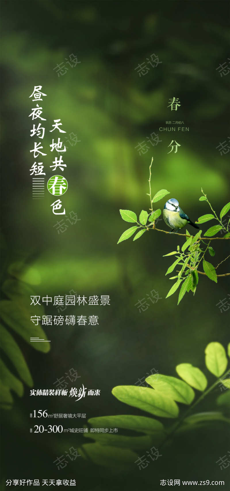 昼夜均长短天地共春色春分节气海报