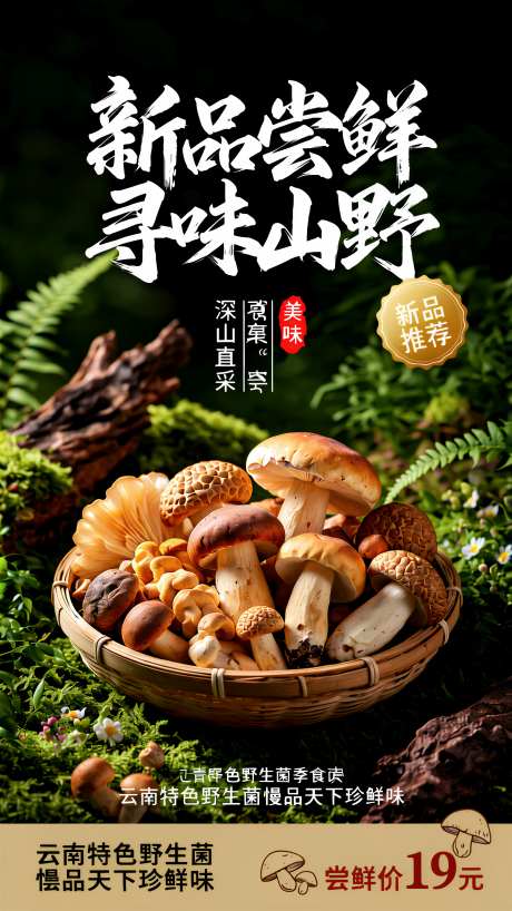 山野野生菌新品促销海报
