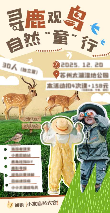 寻鹿观鸟活动海报