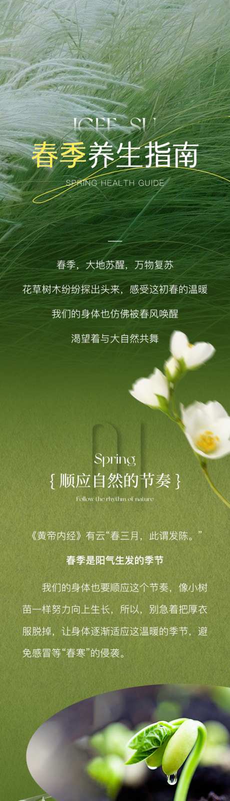 春季养生指南公众号推文长图_源文件下载_PSD格式_1024X7111像素-推荐,指南,养生-作品编号:2026032309409735-志ˈ̹设͵网