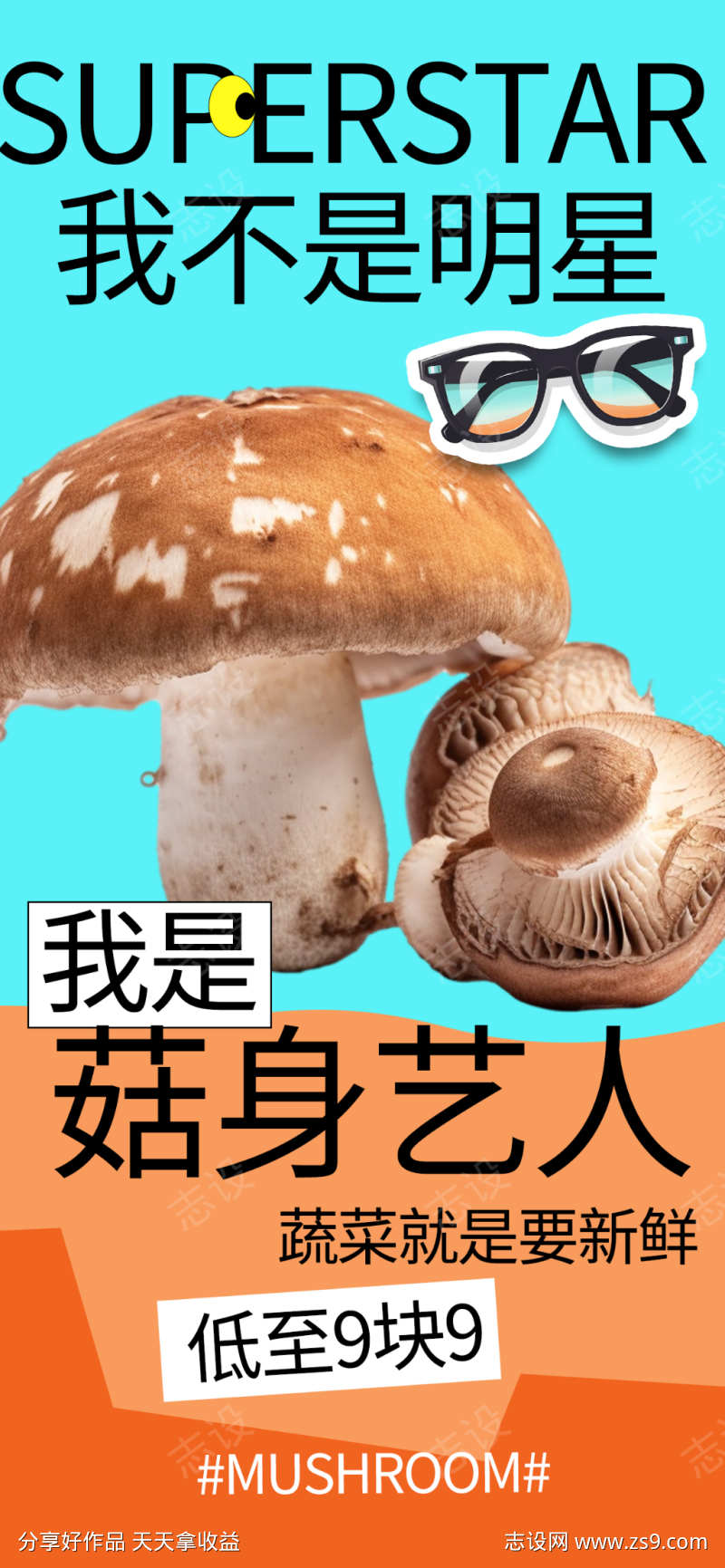 我不是明星海报