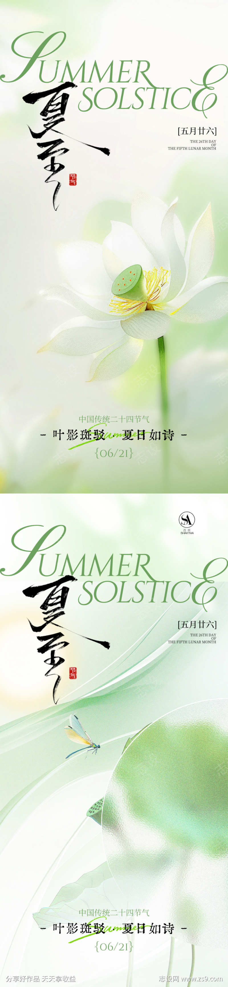 夏至节气海报