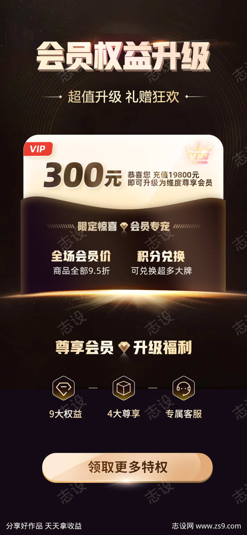 黑金钻石VIP会员权益升级海报