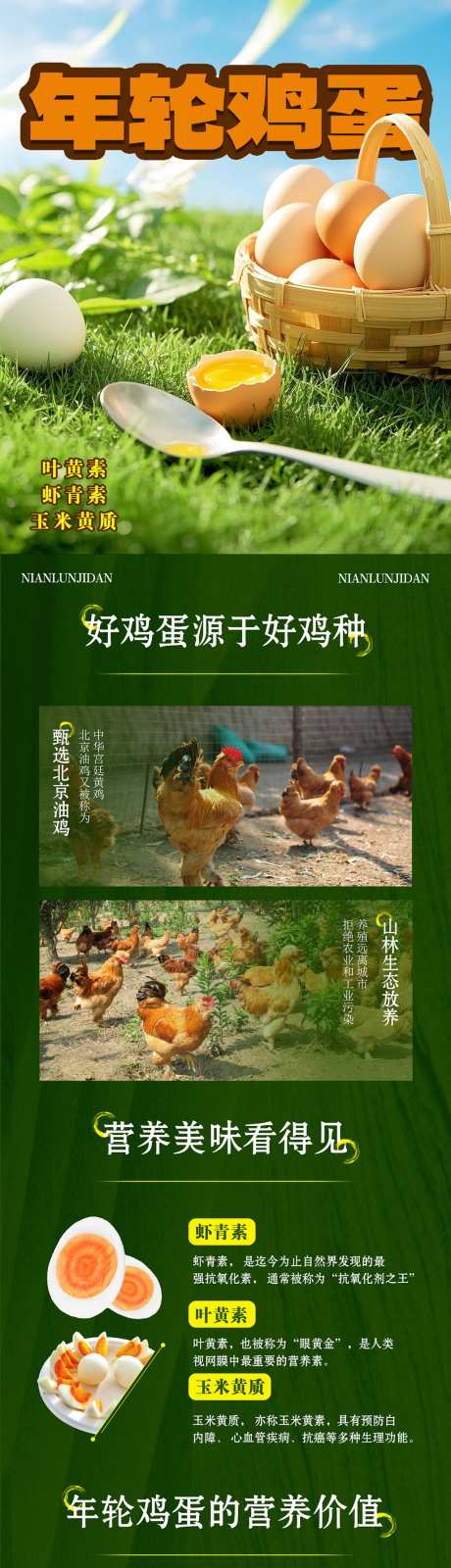 年轮鸡蛋农产品推广