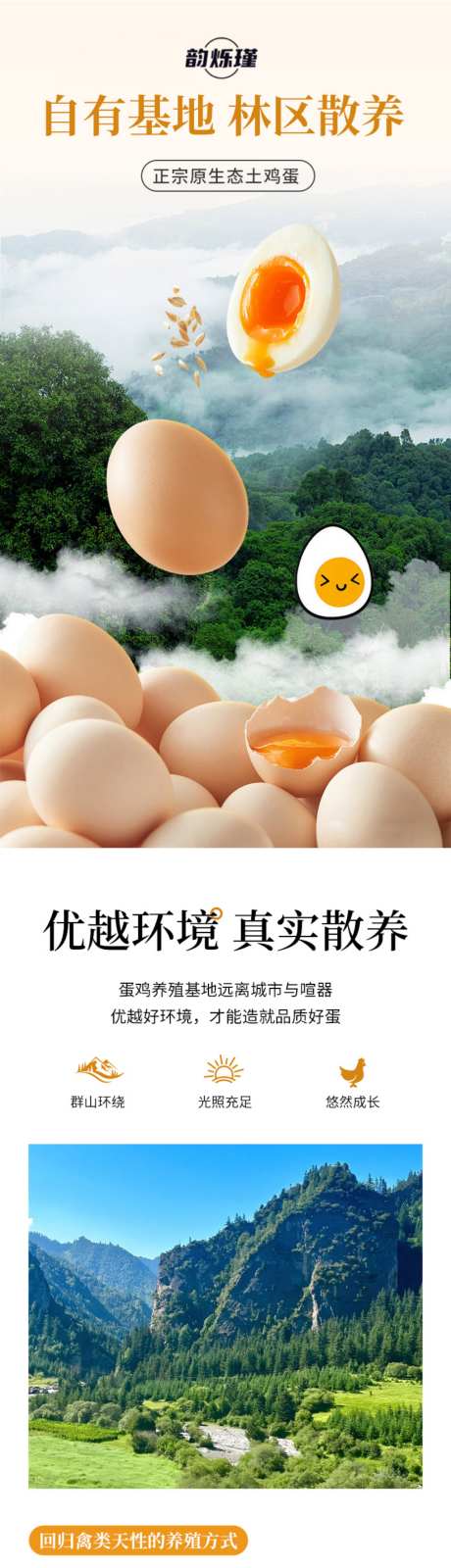 土鸡蛋详情页_源文件下载_PSD格式_1024X8862像素-食品,健康,无公害-作品编号:2026040409076853-志,设˲͓͕͔͐͑͗ٚٛٙ网