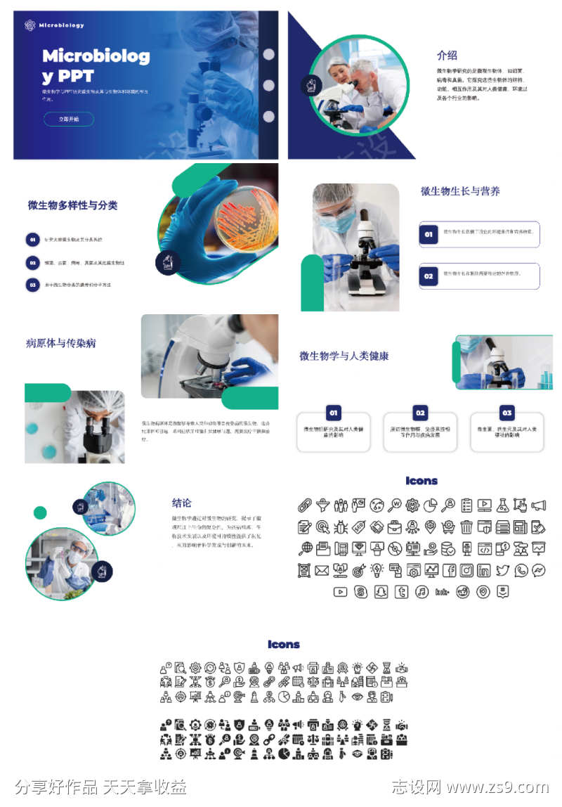 微生物学演讲稿PPT