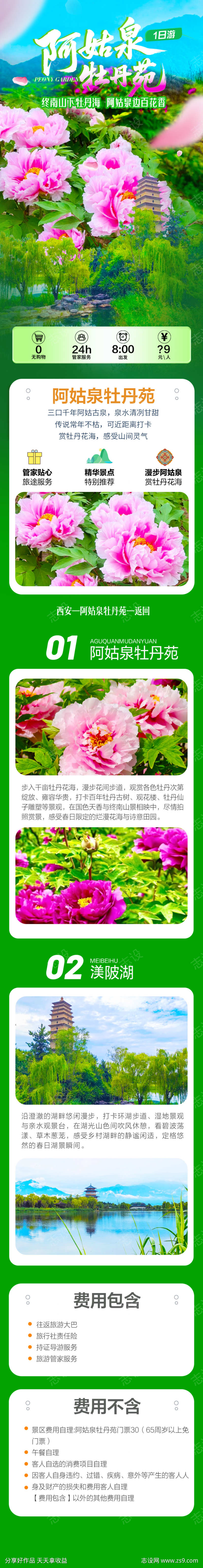 牡丹旅游春游